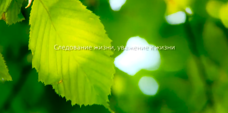 冰球突破mg正规官网集团形象片（русский）